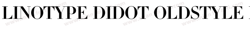 Linotype Didot Oldstyle Figures RomanI字体转换